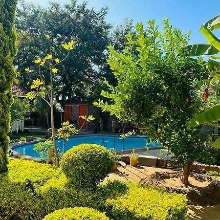 גאבורון Birdville Bnb Guest House מראה חיצוני תמונה