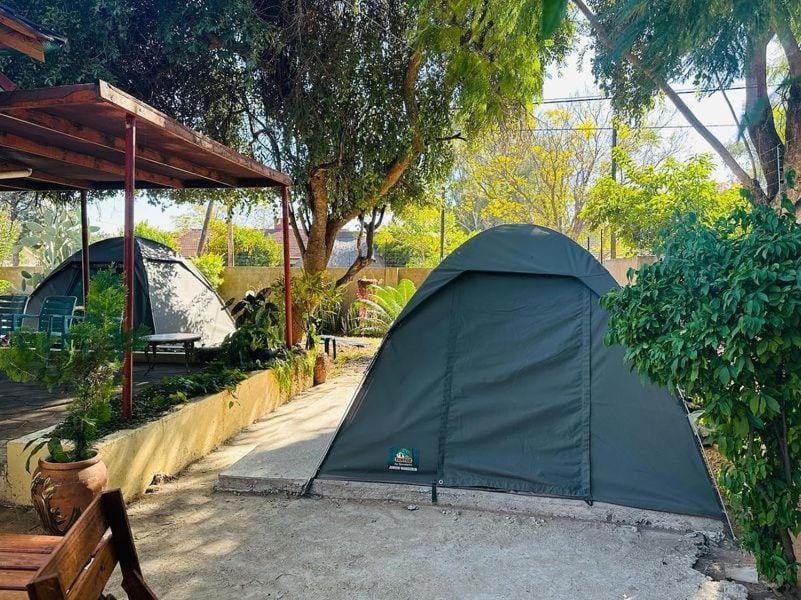 גאבורון Birdville Bnb Guest House מראה חיצוני תמונה