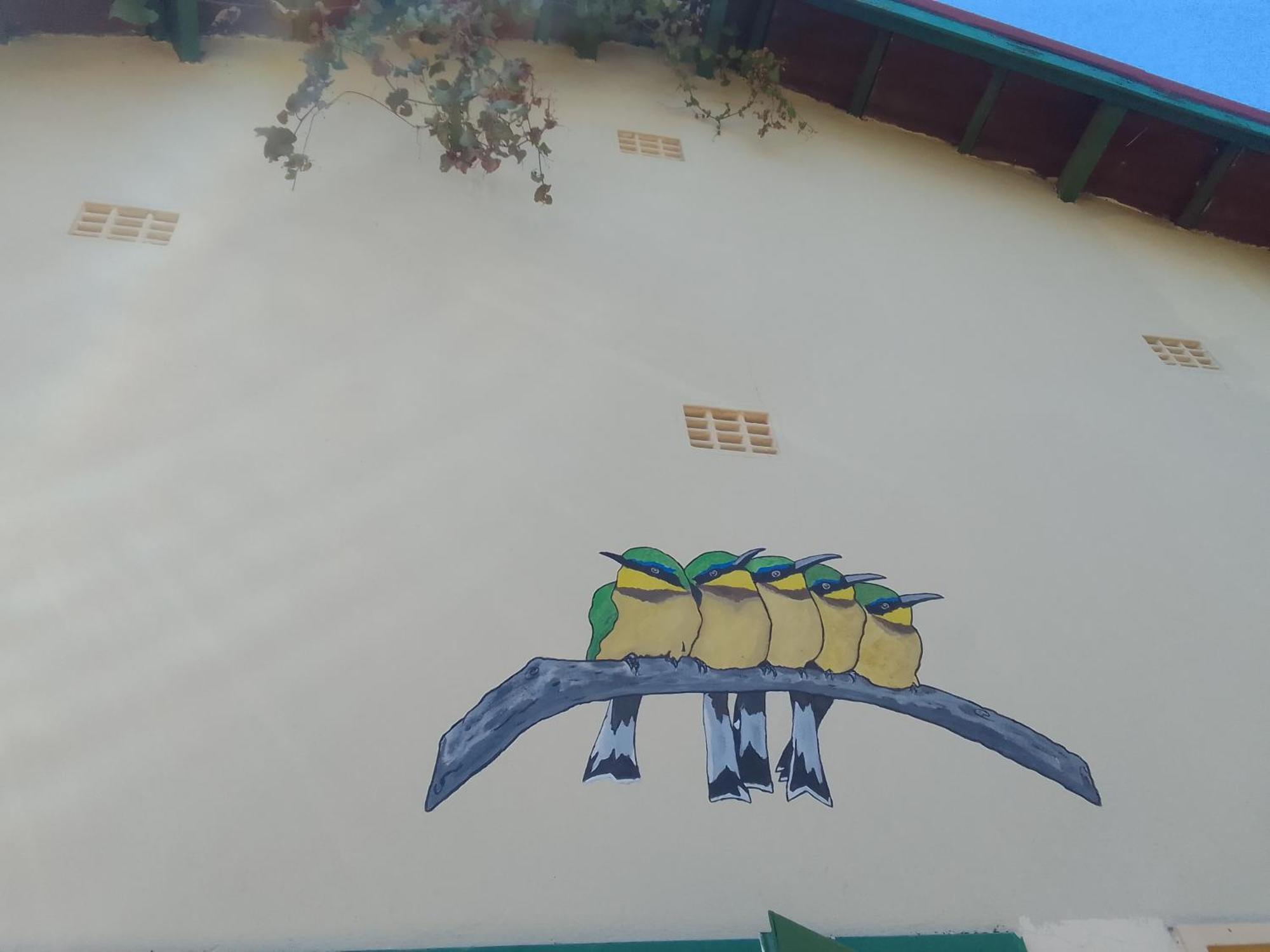 גאבורון Birdville Bnb Guest House מראה חיצוני תמונה